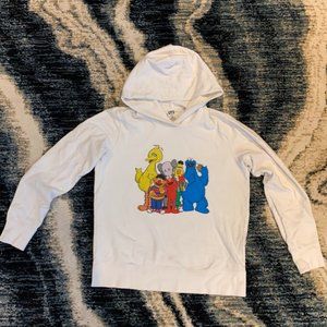 Kaws x Sesame Street Hoodie